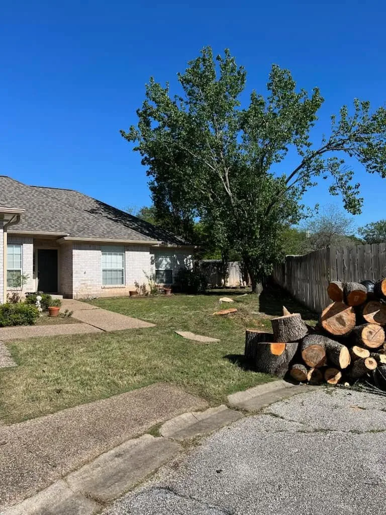 Tree Removal — GreenRiver Landscaping, Bryan, Texas